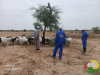 tchad patrouille eqpe 2 7